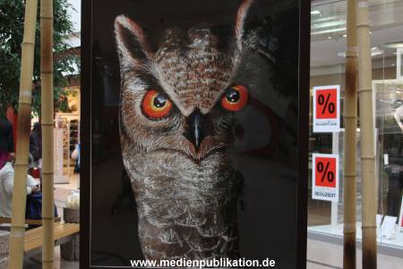 Schuett 12082010 005