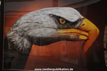 Schuett 12082010 006