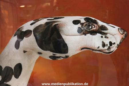 Schuett 12082010 008