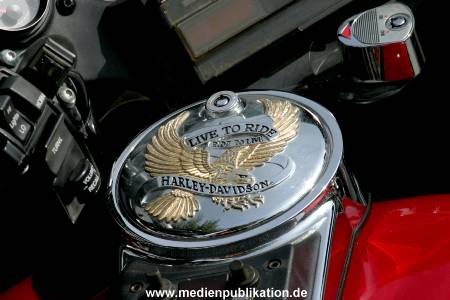 Harley Days 14072007 028