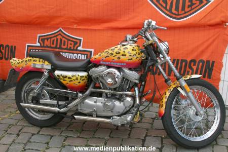 Harley Days 21062008 032