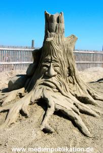 Sandworld 2005 007