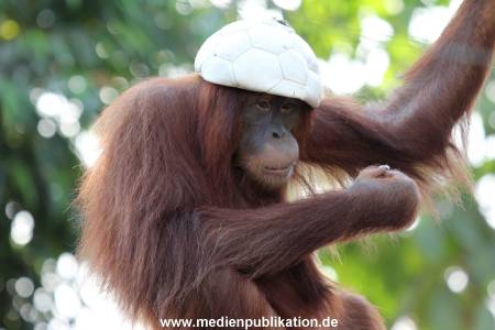 Hagenbeck 07042015 001
