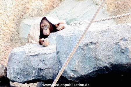 Hagebeck 05032005 019