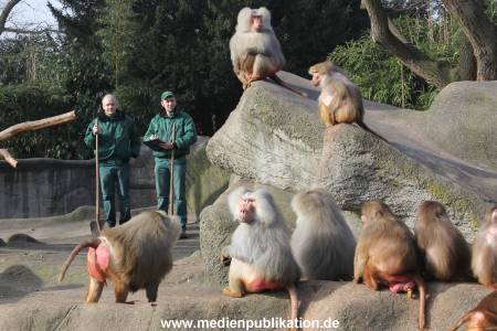 Hagenbeck 04032011 016