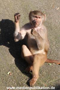 Hagenbeck 09032014 012