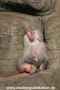 Hagenbeck 10032016 010