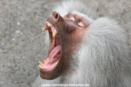 Hagenbeck 10082013 013