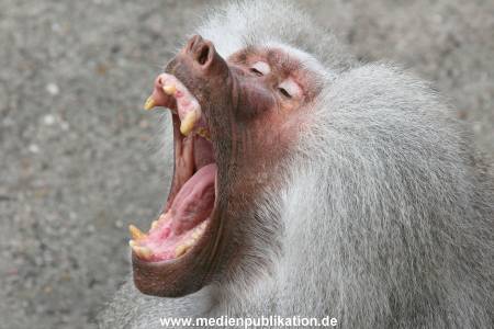 Hagenbeck 10082013 014
