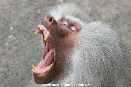 Hagenbeck 10082013 015