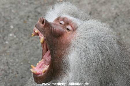 Hagenbeck 10082013 016