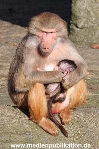 Hagenbeck 25022014 017