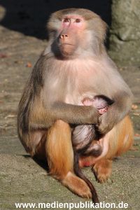 Hagenbeck 25022014 019
