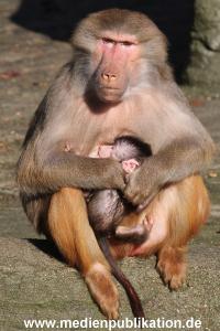 Hagenbeck 25022014 020