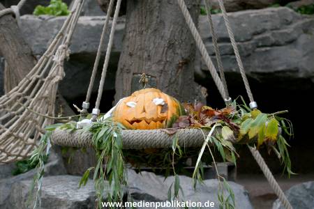 Hagenbeck 29102010 001