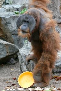 Hagenbeck 29102010 013
