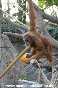 Hagenbeck 29102010 025