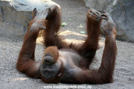 Hagenbeck Carlo 13052008 005