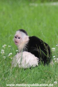 Mally 26062013 018