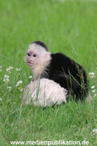 Mally 26062013 019