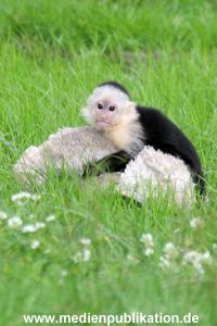 Mally 26062013 036