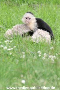 Mally 26062013 037