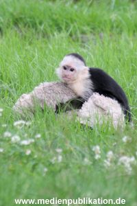 Mally 26062013 038
