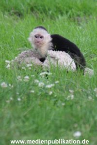 Mally 26062013 045