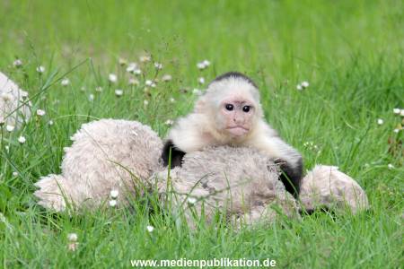 Mally 26062013 056