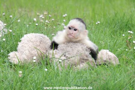Mally 26062013 057