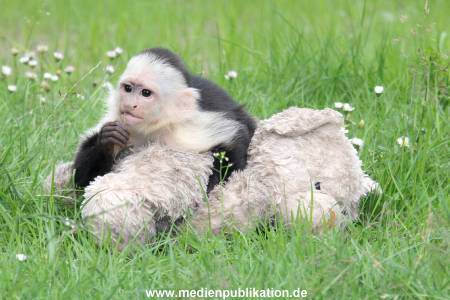 Mally 26062013 062