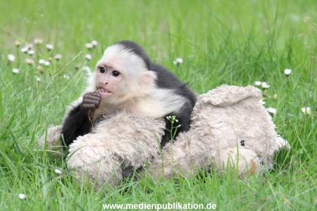 Mally 26062013 063