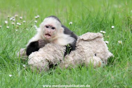 Mally 26062013 065