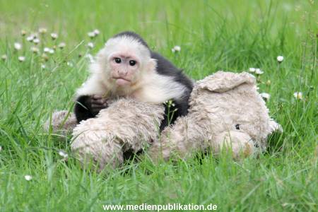 Mally 26062013 066