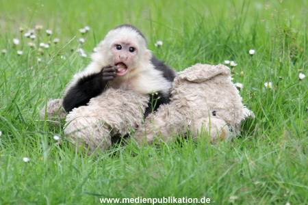 Mally 26062013 070