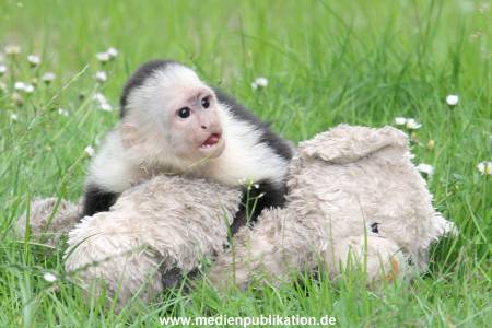 Mally 26062013 074