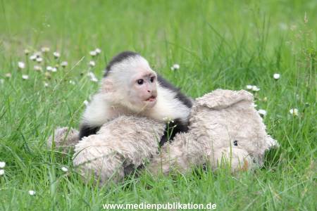 Mally 26062013 075