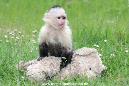 Mally 26062013 076