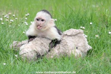 Mally 26062013 077
