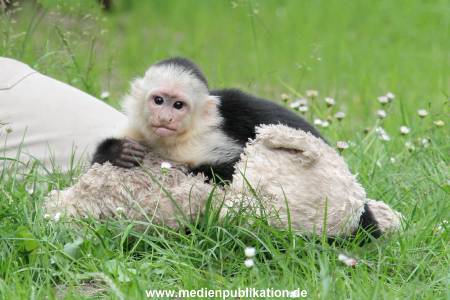 Mally 26062013 080