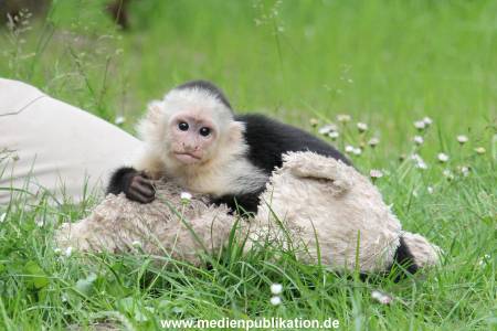 Mally 26062013 082