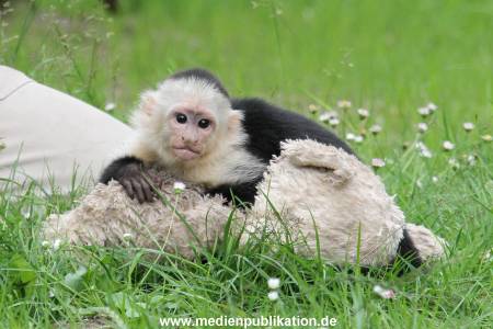 Mally 26062013 083