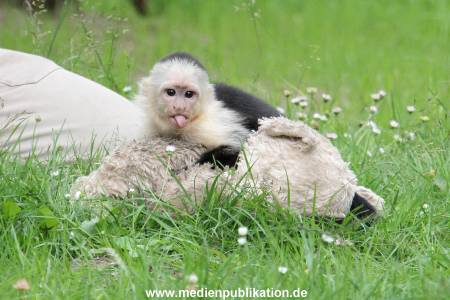 Mally 26062013 086