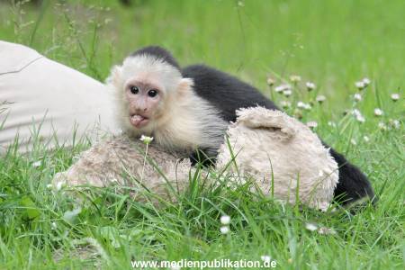 Mally 26062013 090