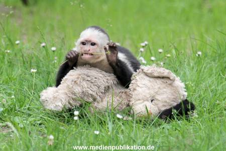 Mally 26062013 091