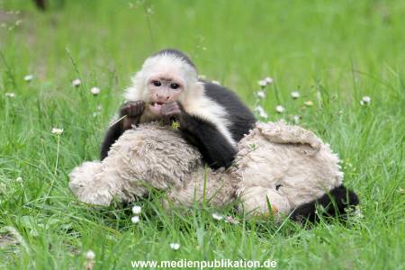 Mally 26062013 093