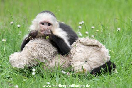 Mally 26062013 094