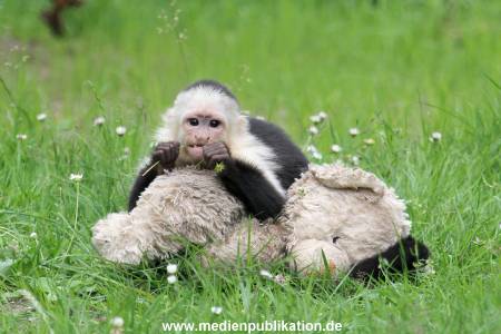 Mally 26062013 095