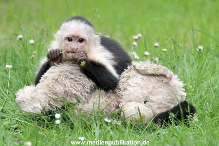 Mally 26062013 096