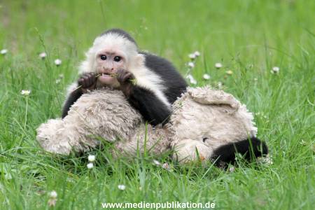 Mally 26062013 097